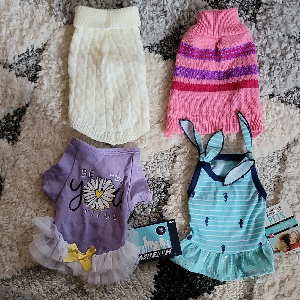 Set of Four Dog Sweaters and Dresses